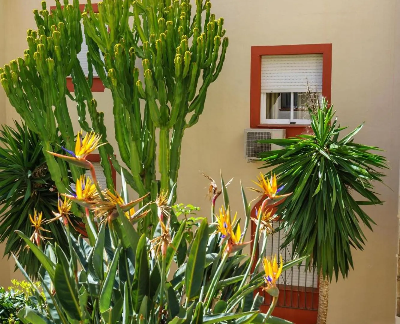 Riviera Gem: Stunning Sea View Terrace Apartment Mijas Spain